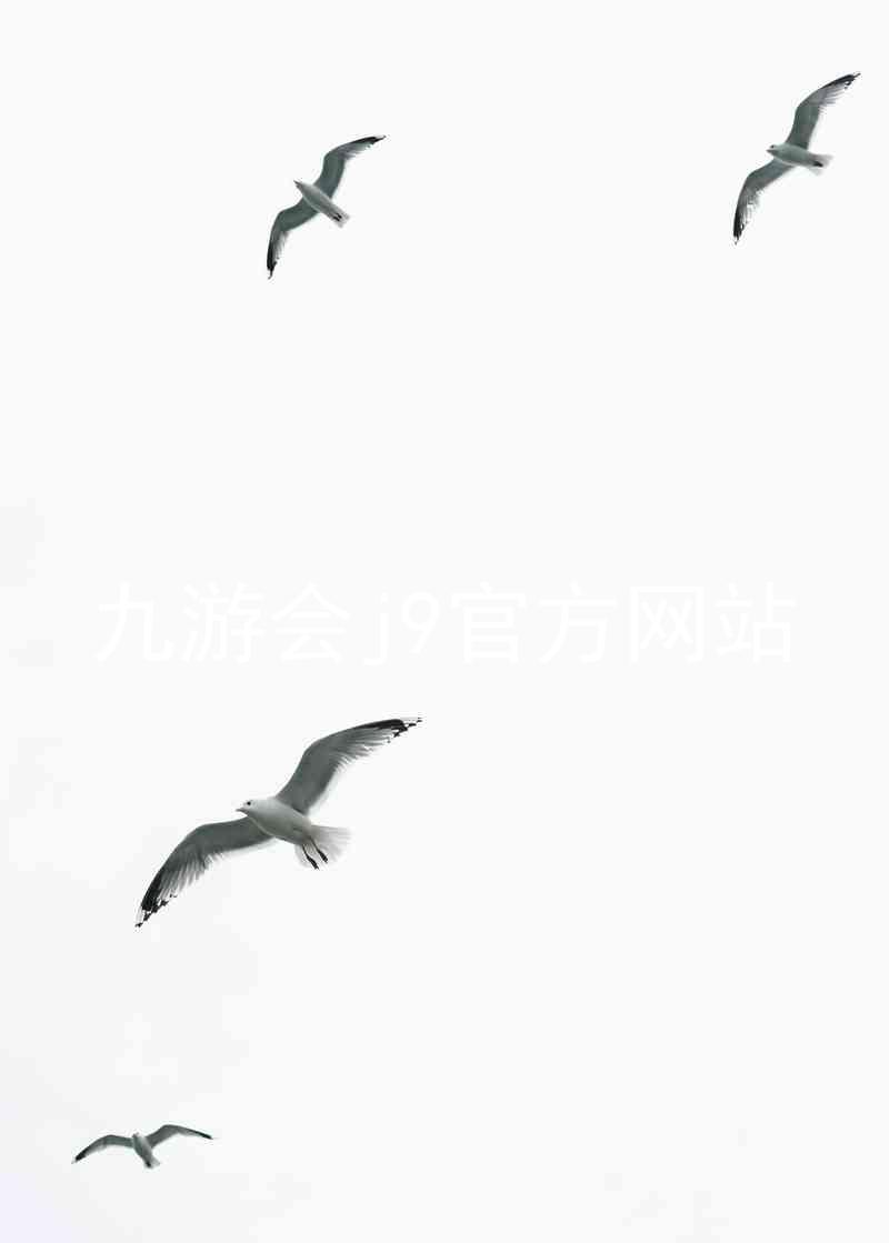 九游会j9官方网站